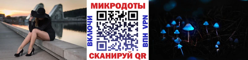 Купить где  Реутов  Псилоцибиновые грибы Psilocybe 